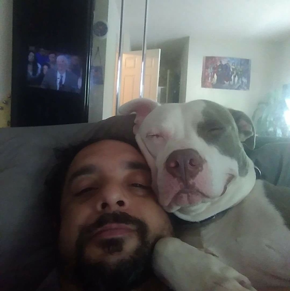 cmn213